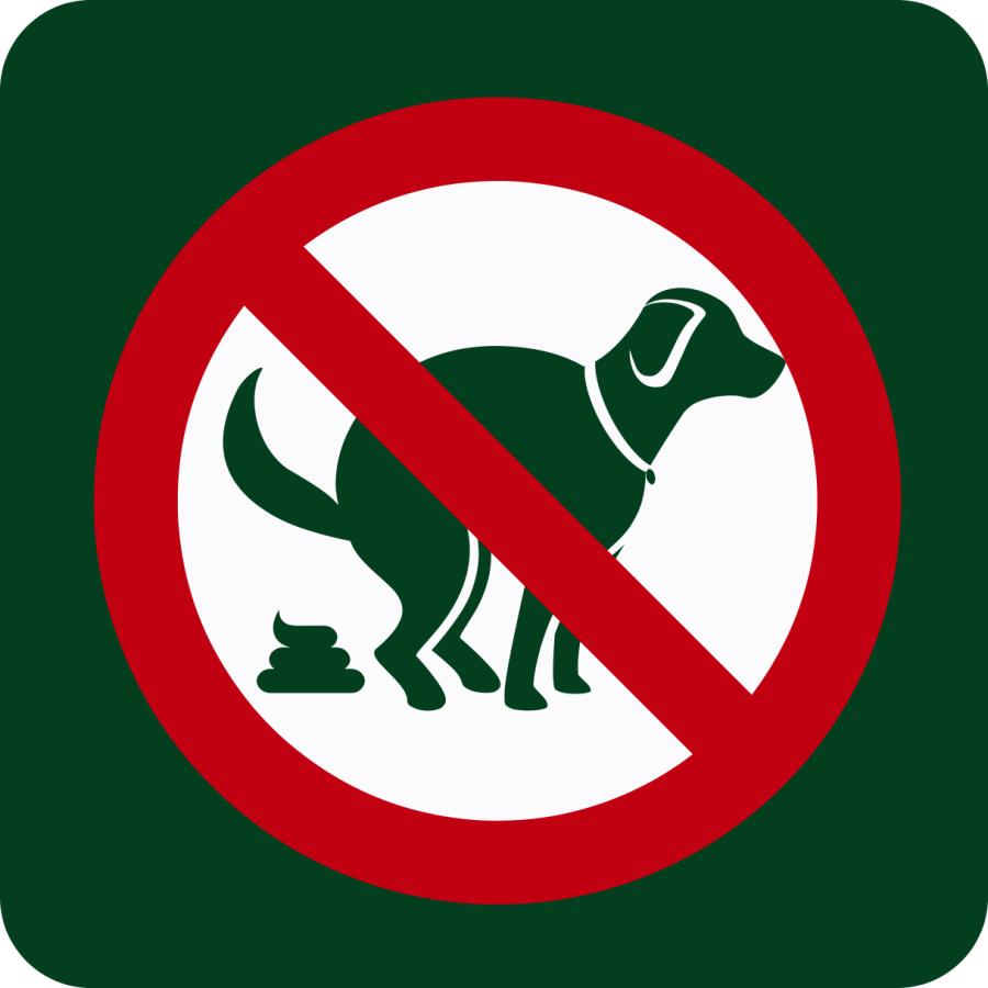 Ingen hundelort her skilt | Piktogram med forbudt