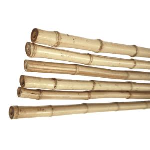 Bambuspinde