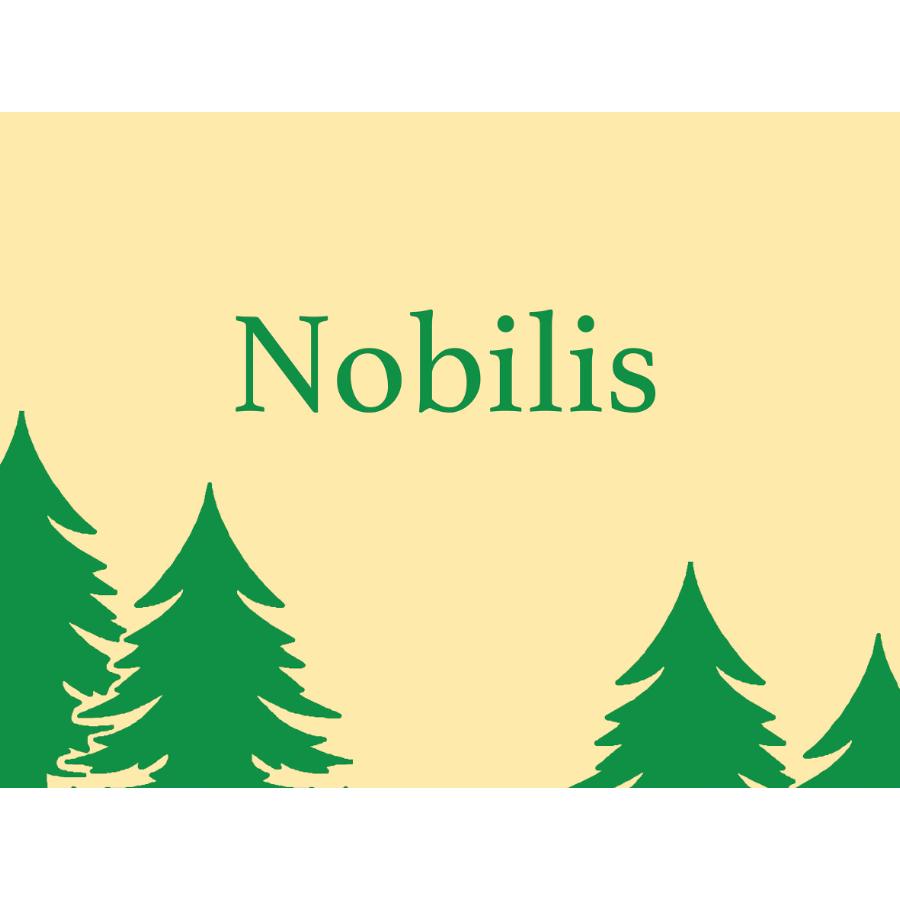Juletræsbanner  Nobilis 60X80cm polyester